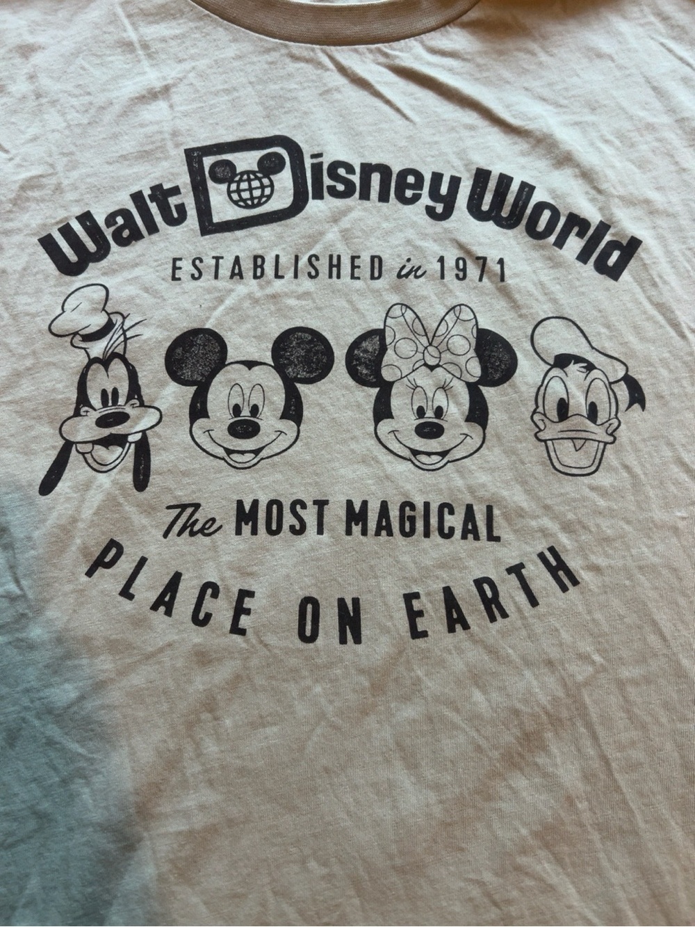 Disney Parks Walt Disney World Graphic T-Shirt Size Large Sage Green